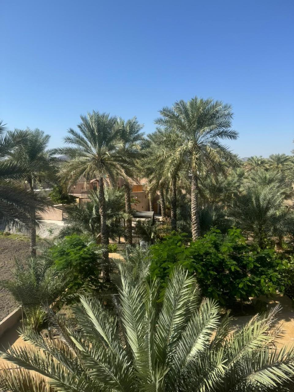 Jawharat Alaqar Inn نزل جوهرة العقر Нізва Екстер'єр фото